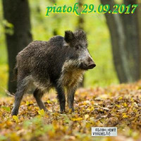 Volanie lesa 02 - 2017-09-29 Hospodárenie v chránených územiach a Memorandum o lese… by Slobodný Vysielač