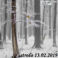 Volanie lesa 24 - 2019-02-13 Sťažnosť a list Európskej komisie Slovensku pre miznúce lesy a Kontroly MŽP na úradoch… by Slobodný Vysielač
