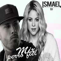 MIX PERRO FIEL-(ISMAEL DJ)▼▼▼ by dj trix