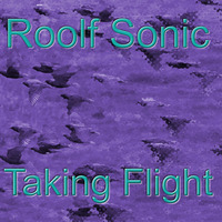 Taking Flight by Roolf Sonic