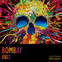 Tripland Ft.Bombay Buzz by DJ YASH INDIA