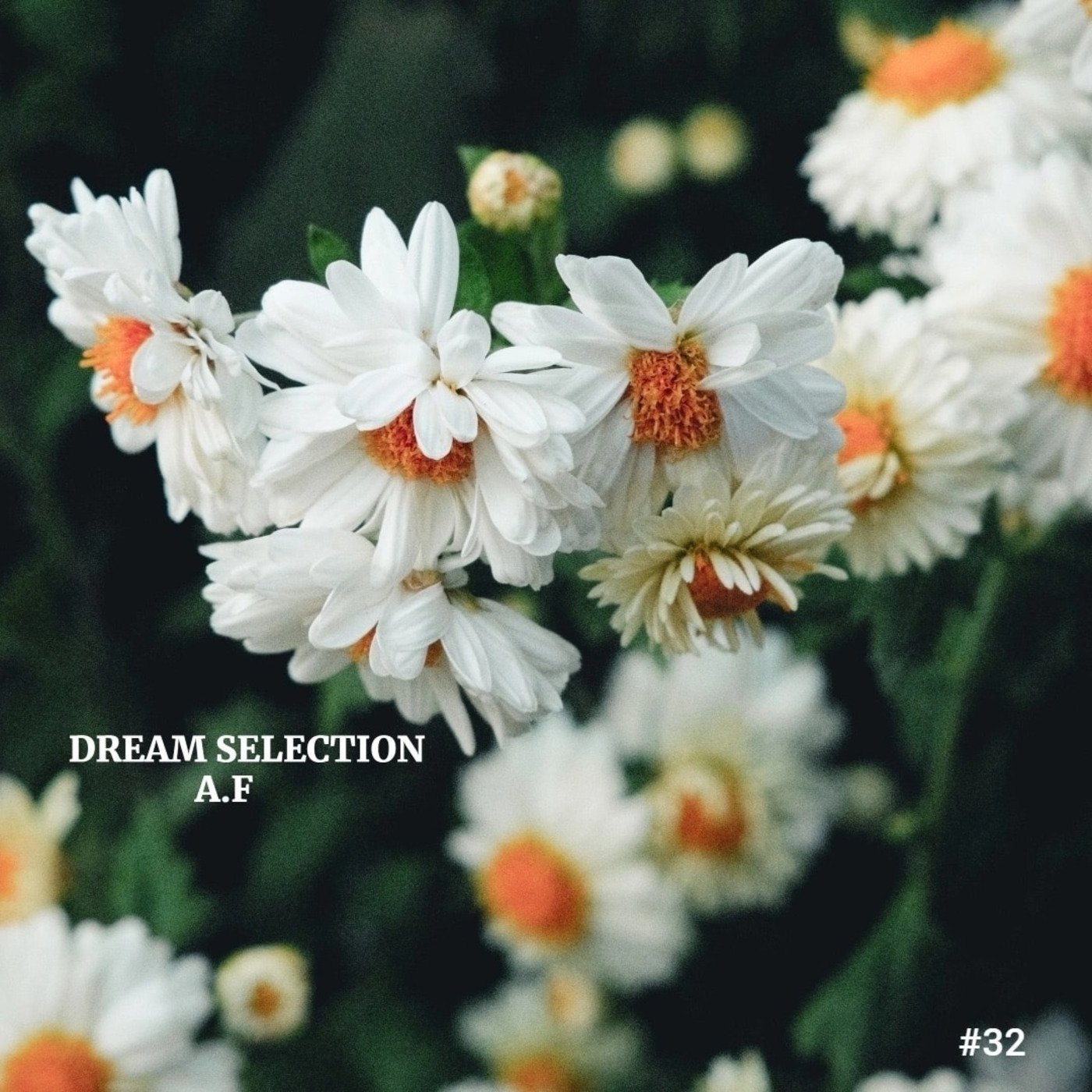 A.F - Dream Selection Podcast #32