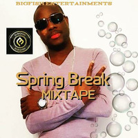 Spring Break Mixtape by DJ BIGFISH (EJANLA)