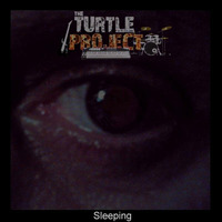 Sleeping by The Turtle Project