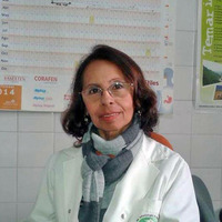 Susana Ceballos - Servicio de Infectología del Hospital San Roque - Detección hepatatis by UNJu Radio 05