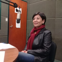 Liliana Chavez, Máster en interpretación y traductora publica - Traducción, interpretación y aprendizaje del inglés by UNJu Radio 05