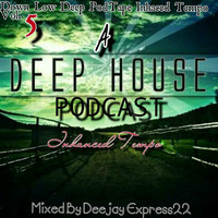 Down Low Deep PodTape Inhanced Tempo Vol.5[1] by Down Low Deep