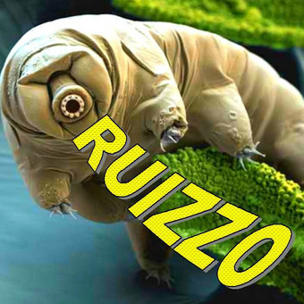 E-Ruizzo