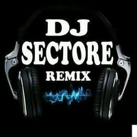 DJ Sectore - Galti Se Mistake (Remix) by dj-sectore