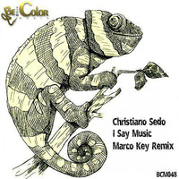 Christiano Sedo - I Say Music ( Snippet ) by Christiano Sedo