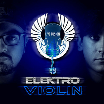 Elektro Violin