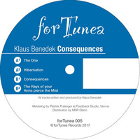 PREVIEW // B2 - Klaus Benedek &quot;The Rays of your Arms pierce the Mist&quot; by forTunea