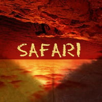Safari by Oktawia Stan