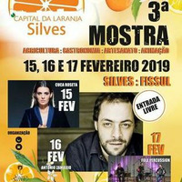 3.ª Mostra Silves Capital da Laranja de  15 a 17  de fevereiro by Rádio Gilão - Tavira