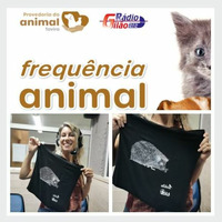 Frequência Animal - RIAS e os animais que lá chegam by Rádio Gilão - Tavira