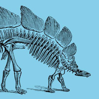 freddie freeloader by Budosaurus