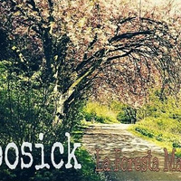TooSick-La Foresta Magica by Toosick