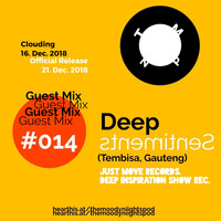 Guest Mix #014  Deep Sentiments (Tembisa, JHB) by The Moody Niights Podcast