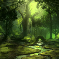 Mystical Forest - Magical Elven Voice &amp; Rainstick Music &amp; Tibetan Bowls | Tree of Light by Eduardo