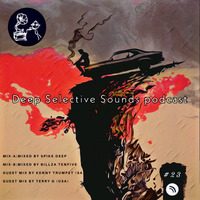 Deep Selective Sounds Podcast #23 [Guest Mix By Kenny Trumpet]SA by Rocka Fobic Deep