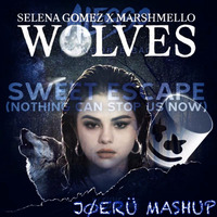 Sweet Wolves (JØERÜ Mashup) by JØERÜ
