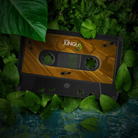 #NO1 Hearthis Jungle mix / A Rhythmjunkies Deep in the Jungle ( 2hr live Mash up miixtape ) by A RhythmJunkie
