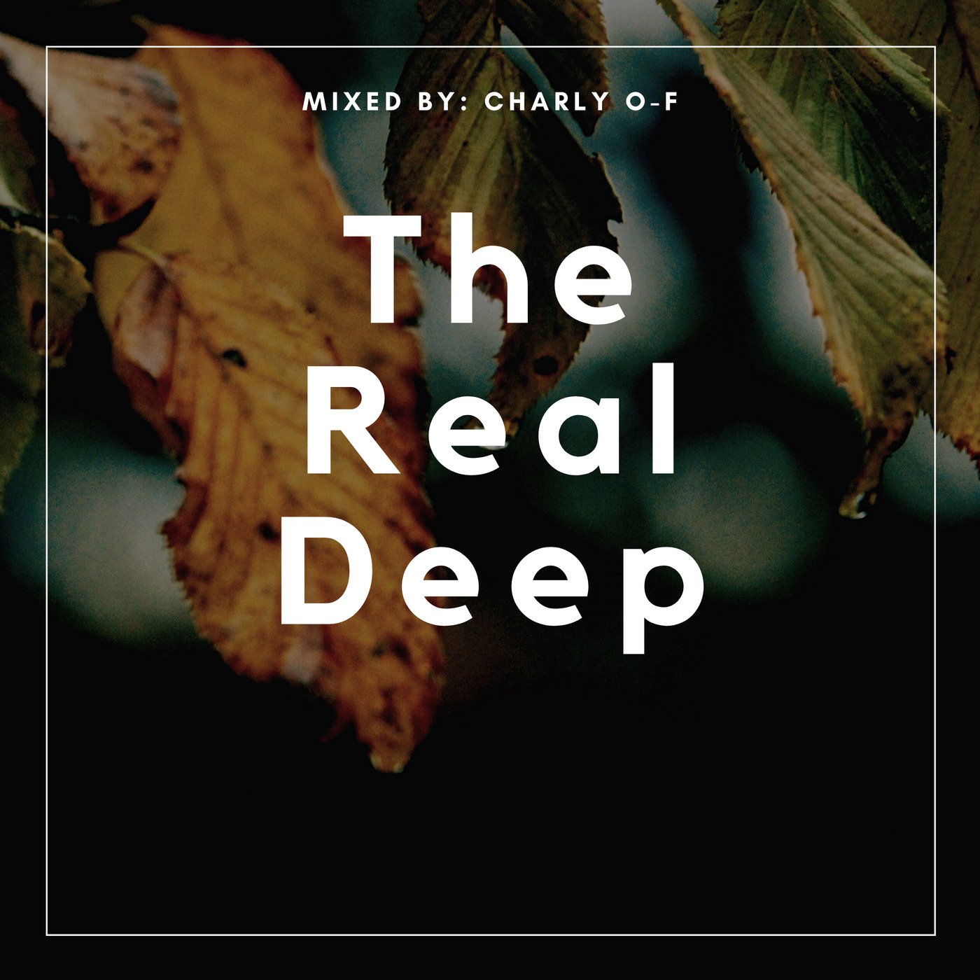 Deep House Mix | The Real Deep #087 RadioShow