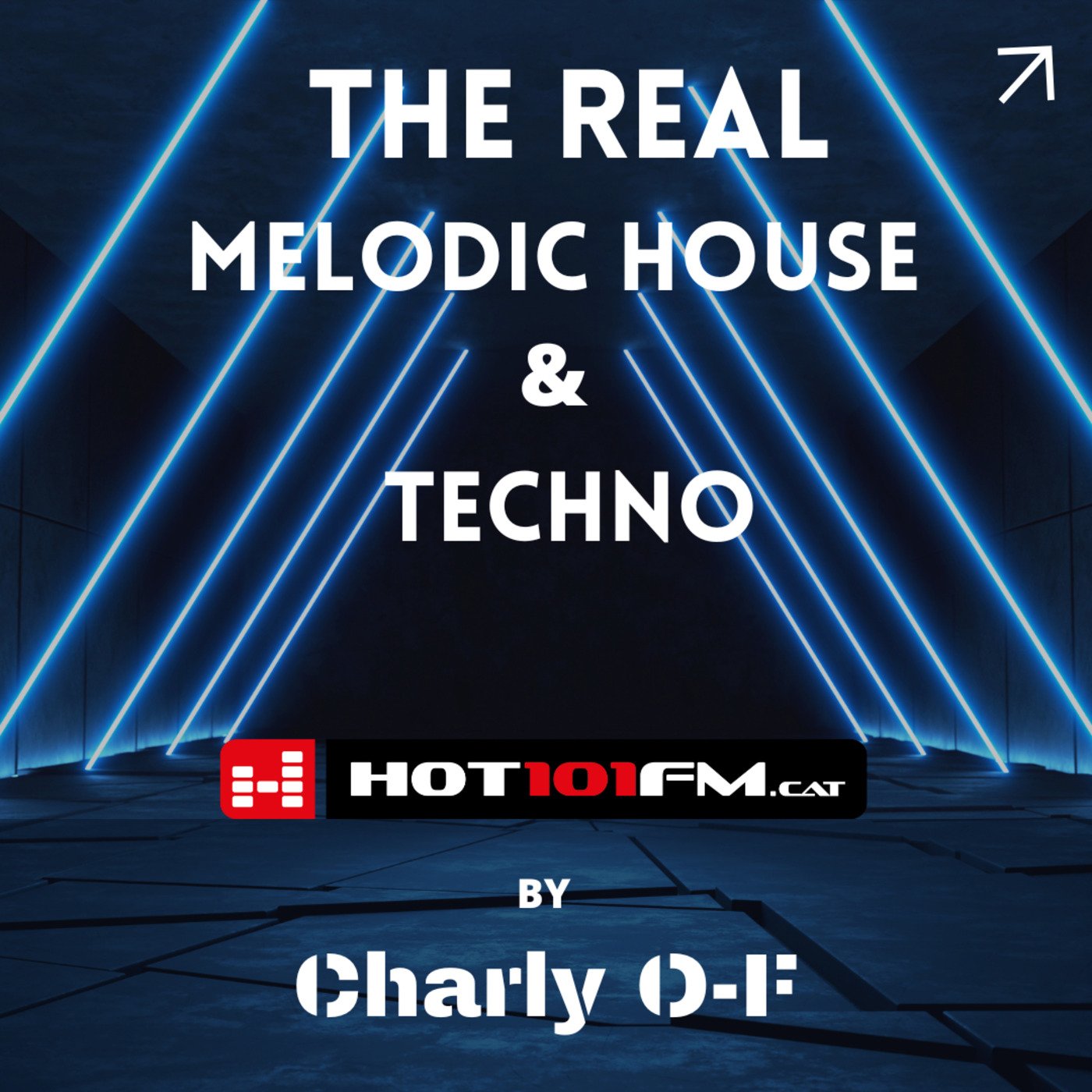 Melodic House & Techno Mix 2023 | The Real Melodic House #003