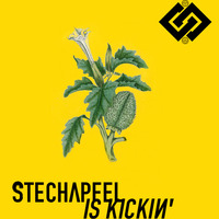 Stechapfel is kickin' by Völkisch Groove Foundation