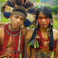 La Amazonía 28.11.2018 by Fréquences Latines