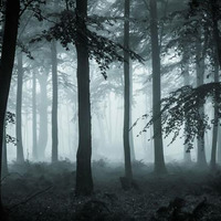 Spooky Forest by Salman Grottenolm
