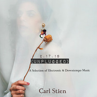 01 2.17.19 (Unplugged) by  Carl Stien