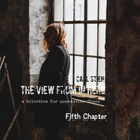 the View from in Here (for Quarantine Times) Fifht Chapter by  Carl Stien
