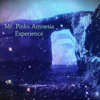 20171123 Mr. Pinks Amnesia Experience by Mr. Pink