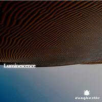 Itu - Luminescence by Dung Beetle Records
