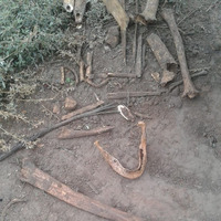 Miguel Giardina Arqueólogo sobre los restos hallados en Cdro. Benegas 14 - 06 - 19 by 93.3 Auténtica Fm