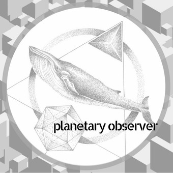 Planetary Observer