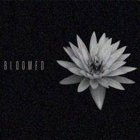 Bloomed - Matthew &amp; the Crowd by Matthew & the Crowd