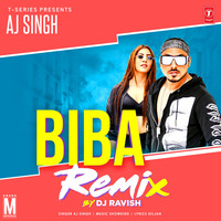 Biba (Remix) - AJ Singh &amp; DJ Ravish by MP3Virus Official