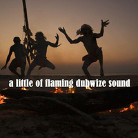 make1-a little of flaming dubwize sound by make1