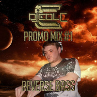 Dj Col-C Summer Promo Mix #1 (Rvrs Bass) by Introspect Official