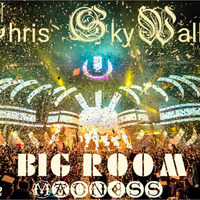 Chris SkyWalker - Big Room Madness(Teaser Mix Vol.005) by Chris Callovar
