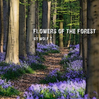 Flowers of the forest by Wolf Z