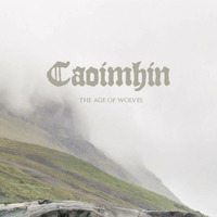 Caoimhin - Víðarr by Black Lion Records