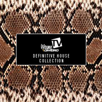 The Definitive House Collection part 3 - by Wayne Romero by DJ Wayne Romero