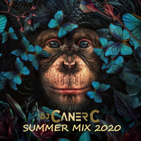 Summer mix 2020 by canercabbar