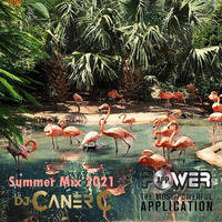 Summer Mix 2021 by canercabbar