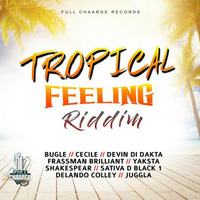 Tropical Feelings Riddim Mix by Dj Trem EndOus
