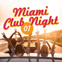 Miami Club Night Vol.1 Mixed by DjSchluetex by DjSchluetex André Schlüter