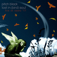 Pitch Black - Lost in (Bird) Soul by Pitch Black